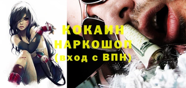 индика Киренск