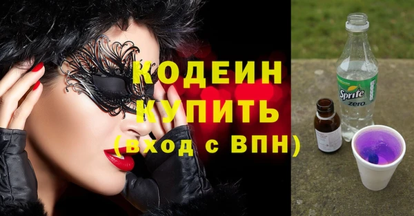 индика Киренск