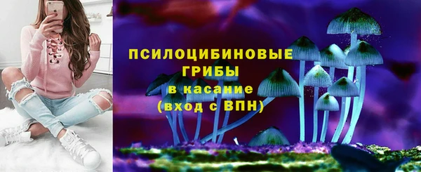 первитин Каменка